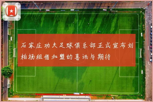 石家庄功夫足球俱乐部正式宣布刘柏杨租借加盟的喜讯与期待